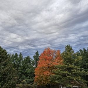 Meet your Posher, Marilyn